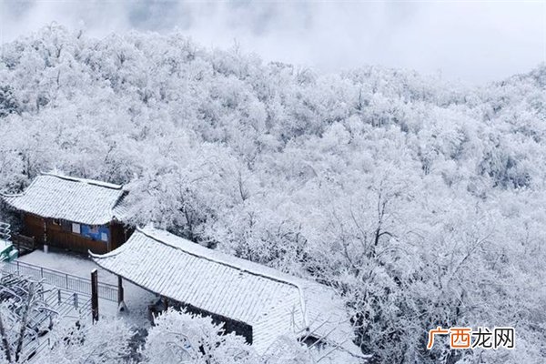 强寒潮是什么意思强寒潮是在打脸全球变暖吗
