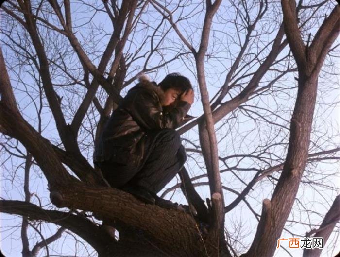 王宝强影帝，王宝强不计片酬获2011年首个国际影帝
