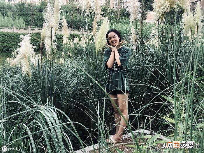 爱情里的甜言蜜语集 甜言蜜语大全