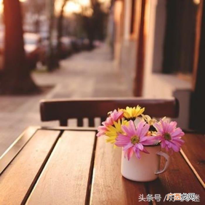 美得让人心痛的句子 优美伤感的句子
