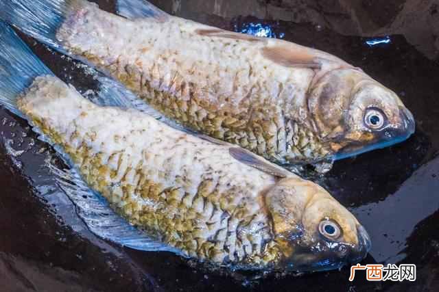 炖鲫鱼汤，先下锅就错了，难怪鱼汤不白还腥气，大厨：这样做才对