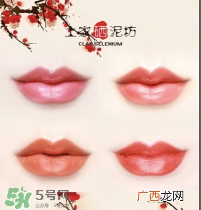土家硒泥坊茶鲜套装系列怎么样_多少钱