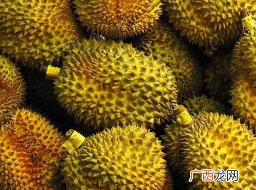 买榴莲时，该买刺长还是刺短的？记住这几点，一挑一个准