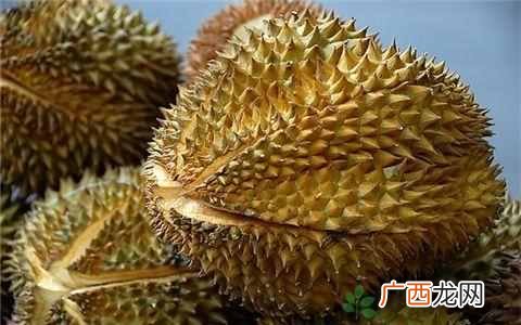 买榴莲时，该买刺长还是刺短的？记住这几点，一挑一个准