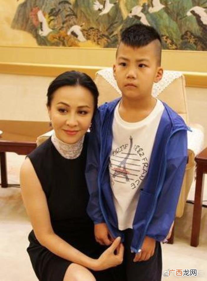 胡军刘嘉玲,刘嘉玲正式认了胡军家康康为干儿子