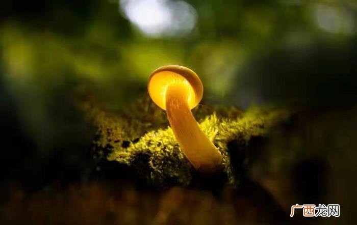 男生会故意等女生主动吗，女人主动等男人来撩