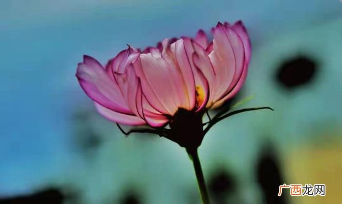 男生会故意等女生主动吗，女人主动等男人来撩