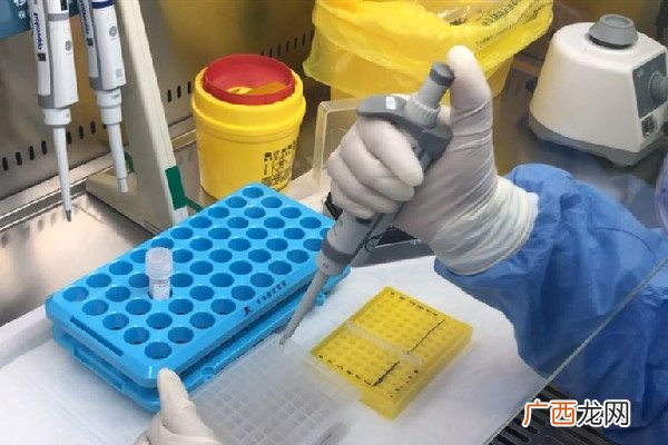 核酸检测结果多久可以在健康码上显示核酸检测结果查询不到怎么办