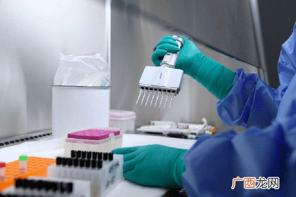 核酸检测48小时从什么时候开始算核酸检测多久出结果