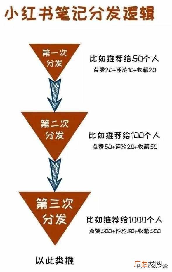 建议收藏，小红书引流获客最全攻略