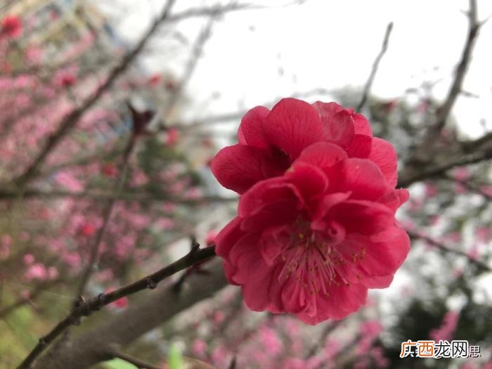 追不到的女生还要联系吗，如果三个月还追不到一个人