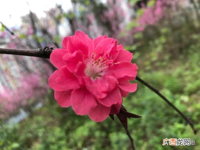 追不到的女生还要联系吗，如果三个月还追不到一个人