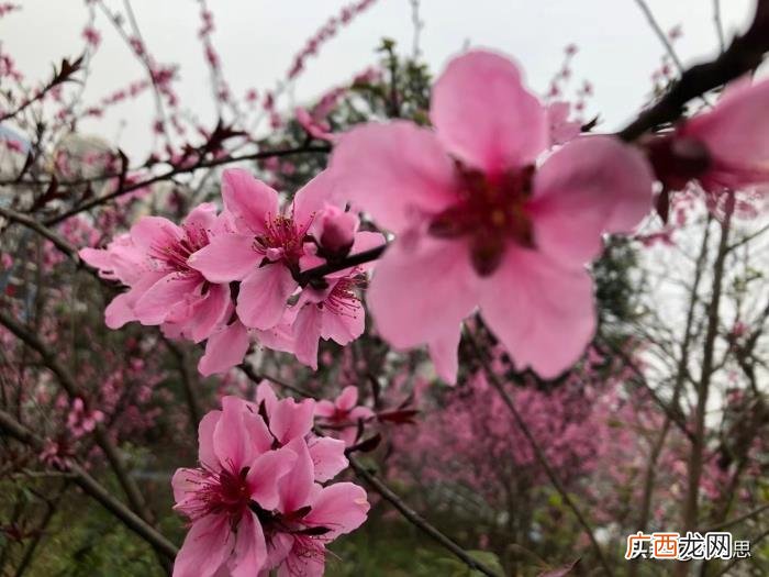 追不到的女生还要联系吗，如果三个月还追不到一个人