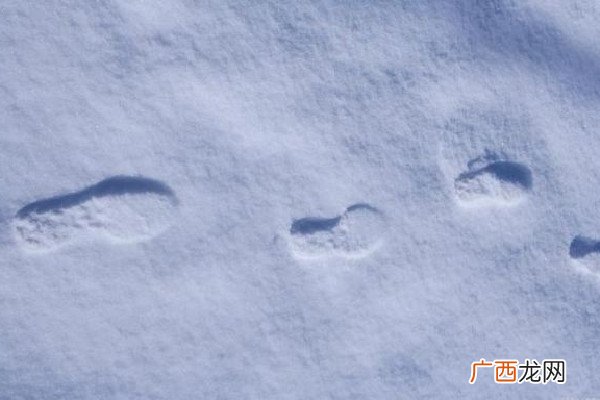 母女雪中冻一夜因报错地址母亲致歉被冻一晚上有什么后果