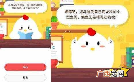 以下哪种动物生活在海里属于真正的鱼？6月2日蚂蚁庄园小课堂答案