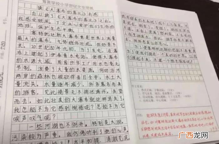 撒贝宁参加高考了吗，撒贝宁成高考押题小能手