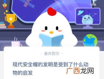 现代安全帽是受到什么动物的启发？6月3日支付宝庄园小课堂问题答案
