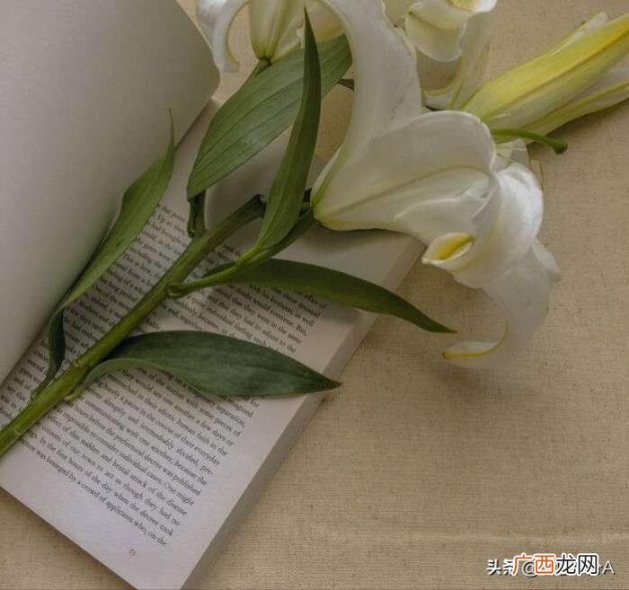 自己应不应该主动呢 喜欢一个人可以主动去找他吗