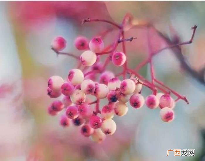 女人重生的办法有两种 女人必须变美的说说