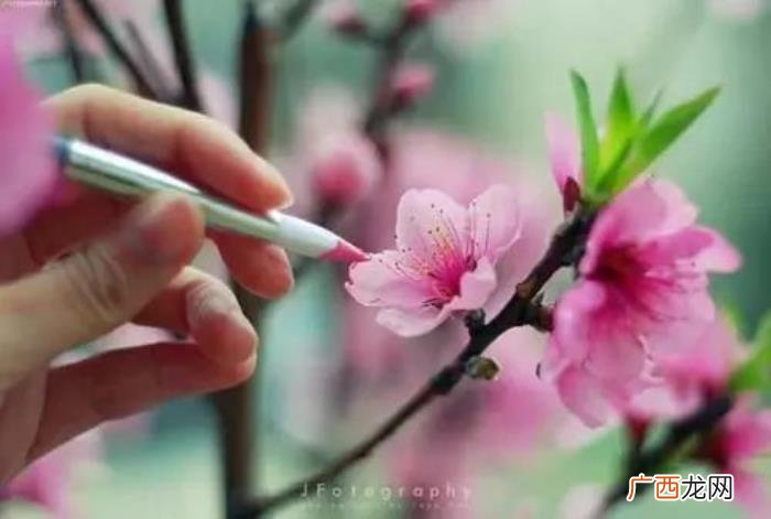 女人重生的办法有两种 女人必须变美的说说