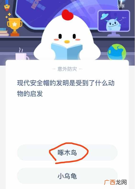 什么动物吃仙人掌都不扎嘴！蚂蚁庄园6月3日今日答案 支付宝蚂蚁庄园