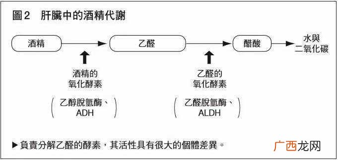 酒后骑马,到底算不算酒驾?