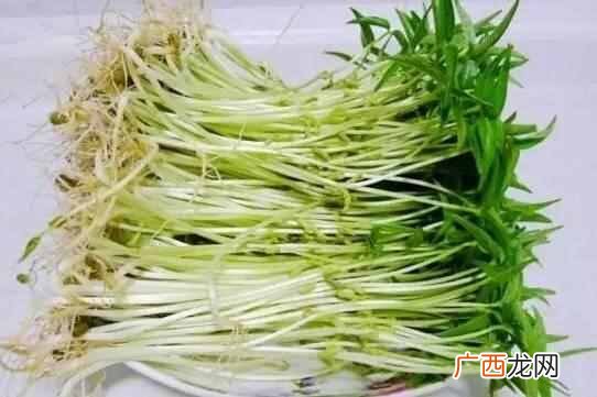 白色衣服有黑色斑点怎么洗净？不用漂白水就可以清理干净！