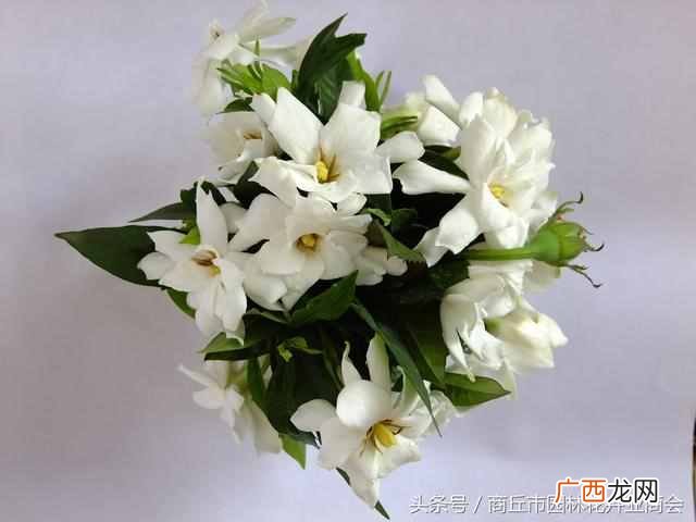 包装好的鲜花怎么保存的久一点？如何让鲜花保存时间更久，教你保鲜