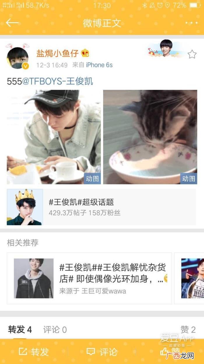 王俊凯喝水，王俊凯吃下午茶时动作与猫喝水动作神同步