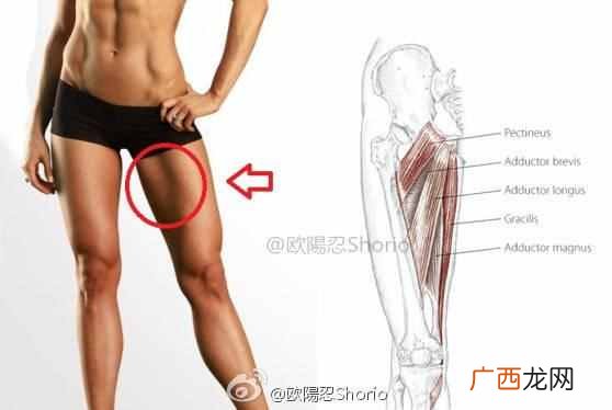 怎么练大腿内侧肌肉？8个自重训练动作深度强化大腿内侧肌群
