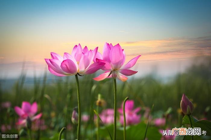 激励教师前进的动力 关于教师的名言