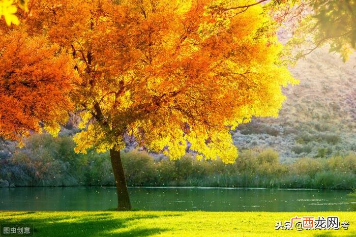 激励教师前进的动力 关于教师的名言
