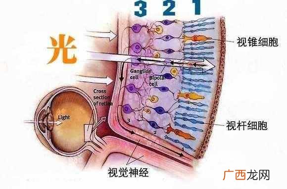 为什么云朵是白色的呢？为什么天空是蓝色的，云是白色的？