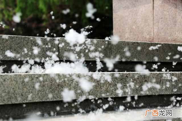 家里到处都是柳絮怎么办？家里飘落了很多柳絮该怎么打扫？