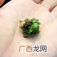 婆婆丁茶怎么做？民间的减肥土方！一天喝3次婆婆丁茶，2周少8斤！
