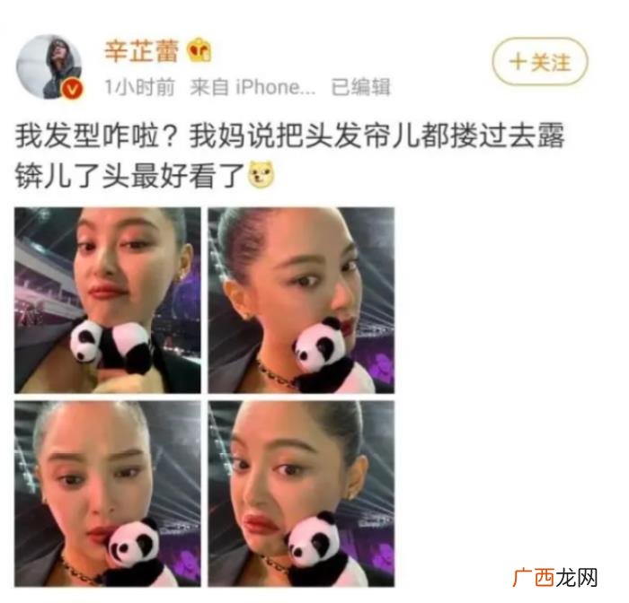 辛芷蕾胖了好像一个表情包，辛芷蕾胖了上热搜