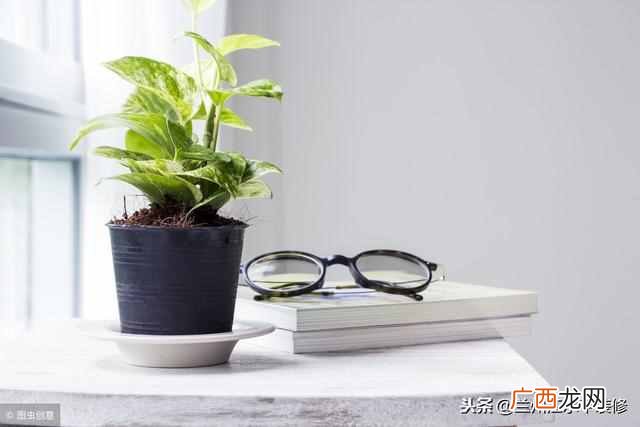 甲醛有味道吗？都说甲醛危害大，那么甲醛到底什么味道呢？