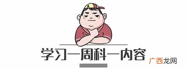 驾驶证12分被扣光怎么办？别慌！按照这几步可拿回12分