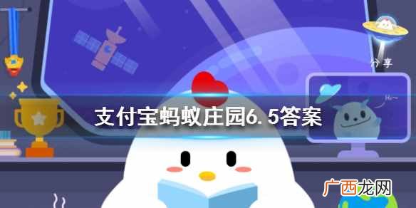 兔子更喜欢以下哪种食物？蚂蚁庄园今日答案6月5日