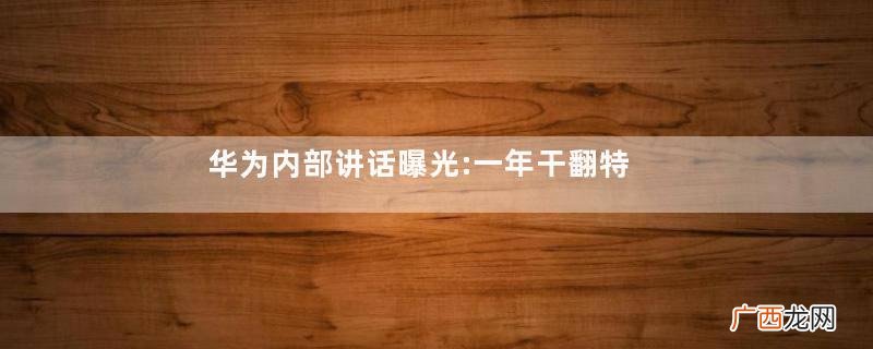 华为内部讲话曝光:一年干翻特斯拉特斯拉是什么级别的车