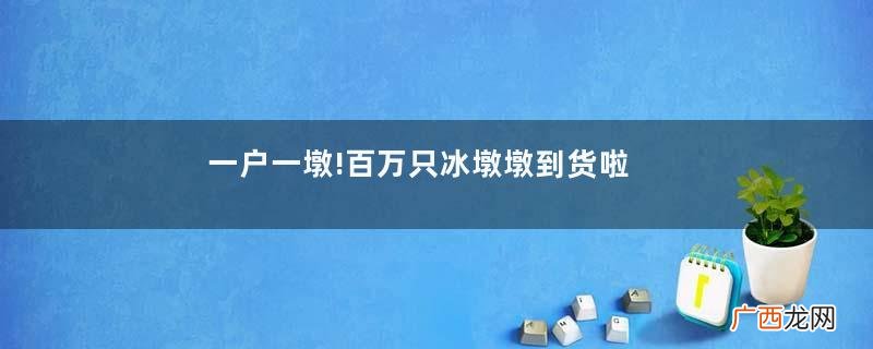 一户一墩!百万只冰墩墩到货啦冰墩墩多少钱一个