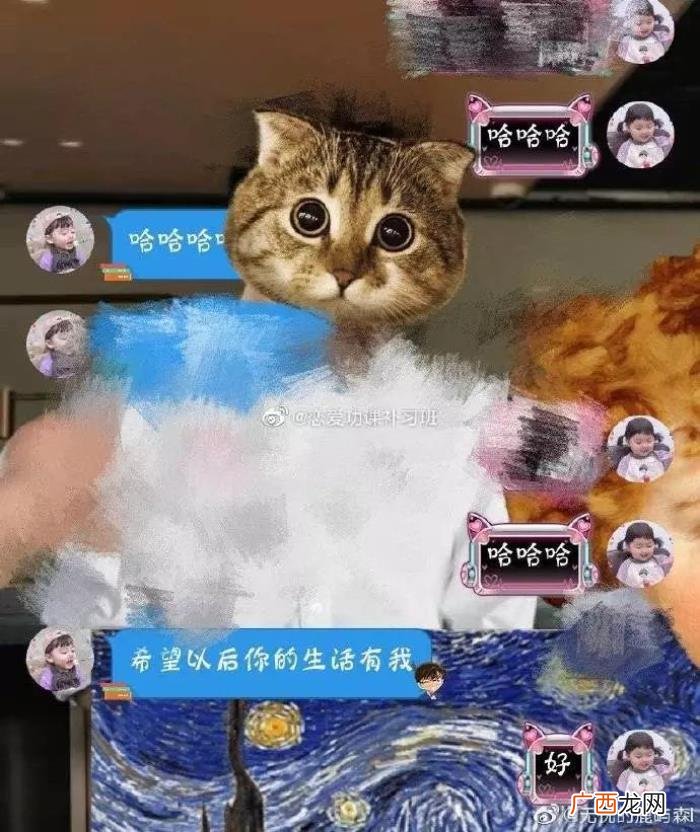 追女孩子聊天记录全过程，表白成功时的聊天记录