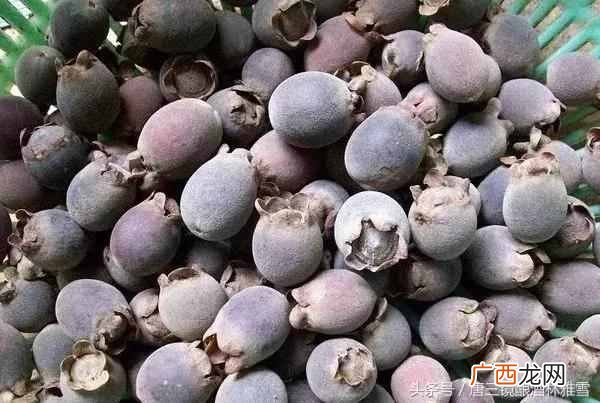 捻子酒的功效，与炮制方法？捻子酒2种家庭自制酿酒方法