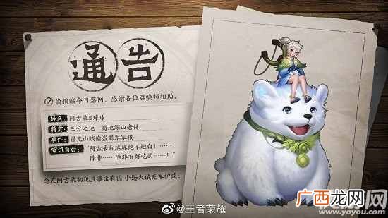 王者荣耀新英雄阿古朵技能是什么 王者荣耀阿古朵技能定位一览