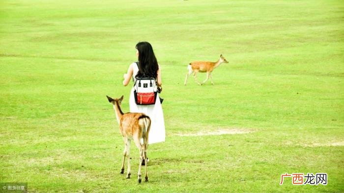 追女生的7个步骤,最痛的领悟——追女生七步骤