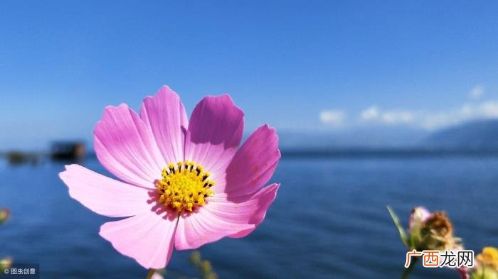 追女生的7个步骤,最痛的领悟——追女生七步骤