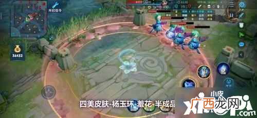 王者荣耀杨玉环羞花皮肤怎么样 王者荣耀杨玉环羞花皮肤介绍