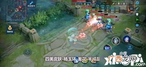 王者荣耀杨玉环羞花皮肤怎么样 王者荣耀杨玉环羞花皮肤介绍