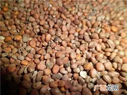 不小心吃太饱了怎么办?消食常用的10个方法
