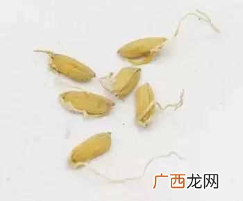 不小心吃太饱了怎么办?消食常用的10个方法